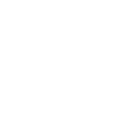 ico logo format